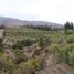  Land for sale in Quillota Valparaiso, Quillota, Quillota