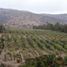 Land for sale in Quillota Valparaiso, Quillota, Quillota