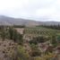  Land for sale in Quillota Valparaiso, Quillota, Quillota
