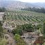  Land for sale in Quillota Valparaiso, Quillota, Quillota