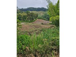  Terreno (Parcela) en venta en Caldas, Palestina, Caldas