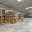 2,943 m2 Office for rent in Coahuila, Matamoros, Coahuila
