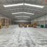 31,678 Sqft Office for rent in Matamoros, Coahuila, Matamoros