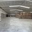 31,678 Sqft Office for rent in Matamoros, Coahuila, Matamoros