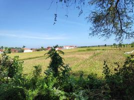  Land for sale in Probolinggo, East Jawa, Kraksaan, Probolinggo