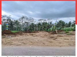  Land for sale in Ngajum, Malang Regency, Ngajum