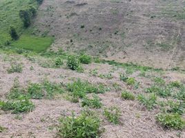  Terreno (Parcela) en venta en Ulloa, Valle Del Cauca, Ulloa