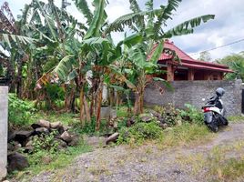  Tanah for sale in Yogyakarta, Mlati, Sleman, Yogyakarta