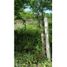  Terreno (Parcela) en venta en Dist Pochutla, Oaxaca, Dist Pochutla