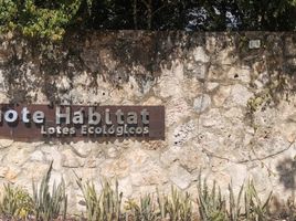 Grundstück zu verkaufen in Lazaro Cardenas, Quintana Roo, Lazaro Cardenas