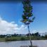  Land for sale in An Lac, Ho Chi Minh City, An Lac