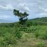  Land for sale in Klungkung, Bali, Klungkung, Klungkung