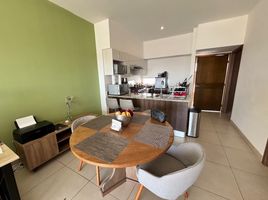 1 Bedroom Condo for sale in Merida, Yucatan, Merida