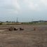  Terreno (Parcela) en venta en Cilincing, Jakarta, Cilincing, Jakarta Utara, Jakarta