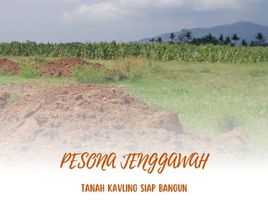  Land for sale in Jenggawah, Jember, Jenggawah