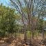  Terreno (Parcela) en venta en Dist Pochutla, Oaxaca, Dist Pochutla