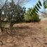  Terreno (Parcela) en venta en Dist Pochutla, Oaxaca, Dist Pochutla
