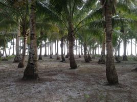  Grundstück zu verkaufen in Gigaquit, Caraga, Gigaquit, Surigao del Norte, Caraga