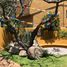 3 Bedroom Villa for sale in Tepoztlan, Morelos, Tepoztlan