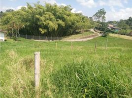  Land for sale in Pereira, Risaralda, Pereira