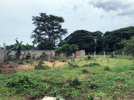  Land for sale in Puerto Princesa City, Mimaropa, Puerto Princesa City, Palawan, Mimaropa