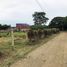  Land for sale in Puerto Princesa City, Mimaropa, Puerto Princesa City, Palawan, Mimaropa