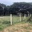  Land for sale in Puerto Princesa City, Mimaropa, Puerto Princesa City, Palawan, Mimaropa