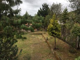 6 Schlafzimmer Haus zu verkaufen in Cayambe, Pichincha, Cayambe, Cayambe