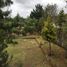 6 Bedroom House for sale in Cayambe, Pichincha, Cayambe, Cayambe