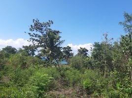  Land for sale in Hinagdanan Cave, Dauis, Dauis