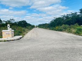  Grundstück zu verkaufen in Ixil, Yucatan, Ixil
