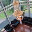 Villa 7 chambre à vendre à Lembang, West Jawa, Lembang