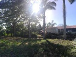  Grundstück zu verkaufen in Othon P Blanco, Quintana Roo, Othon P Blanco
