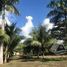  Grundstück zu verkaufen in Othon P Blanco, Quintana Roo, Othon P Blanco