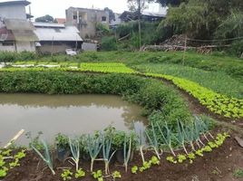  Terreno (Parcela) en venta en Padalarang, West Jawa, Padalarang, Bandung, West Jawa