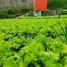  Terreno (Parcela) en venta en Padalarang, West Jawa, Padalarang, Bandung, West Jawa