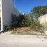  Land for rent in Progreso Yucatan, Progreso