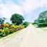  Terreno (Parcela) en venta en Manglaralto, Santa Elena, Manglaralto