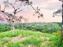  Terreno (Parcela) en venta en Manglaralto, Santa Elena, Manglaralto