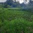  Terreno (Parcela) en venta en Ngaglik, Yogyakarta, Ngaglik, Sleman, Yogyakarta