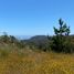  Land for sale in Litueche, Libertador General Bernardo Ohiggins, Litueche