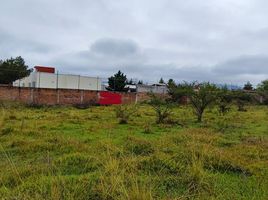  Grundstück zu verkaufen in Morelia, Michoacan, Morelia