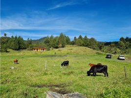  Terreno (Parcela) en venta en La Ceja, Antioquia, La Ceja