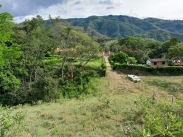  Terreno (Parcela) en venta en San Jeronimo, Antioquia, San Jeronimo