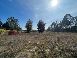  Terreno (Parcela) en venta en Chile, Santo Domingo, San Antonio, Valparaíso, Chile