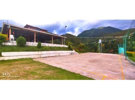 4 Habitación Villa en venta en Loja, Amaluza, Espíndola, Loja