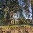  Terreno (Parcela) en venta en Chile, Pucón, Cautín, Araucanía, Chile