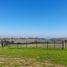  Land for sale in Chile, Vina Del Mar, Valparaiso, Valparaiso, Chile