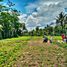  Land for sale in Ngajum, Malang Regency, Ngajum