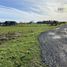  Land for rent in Llanquihue, Llanquihue, Llanquihue